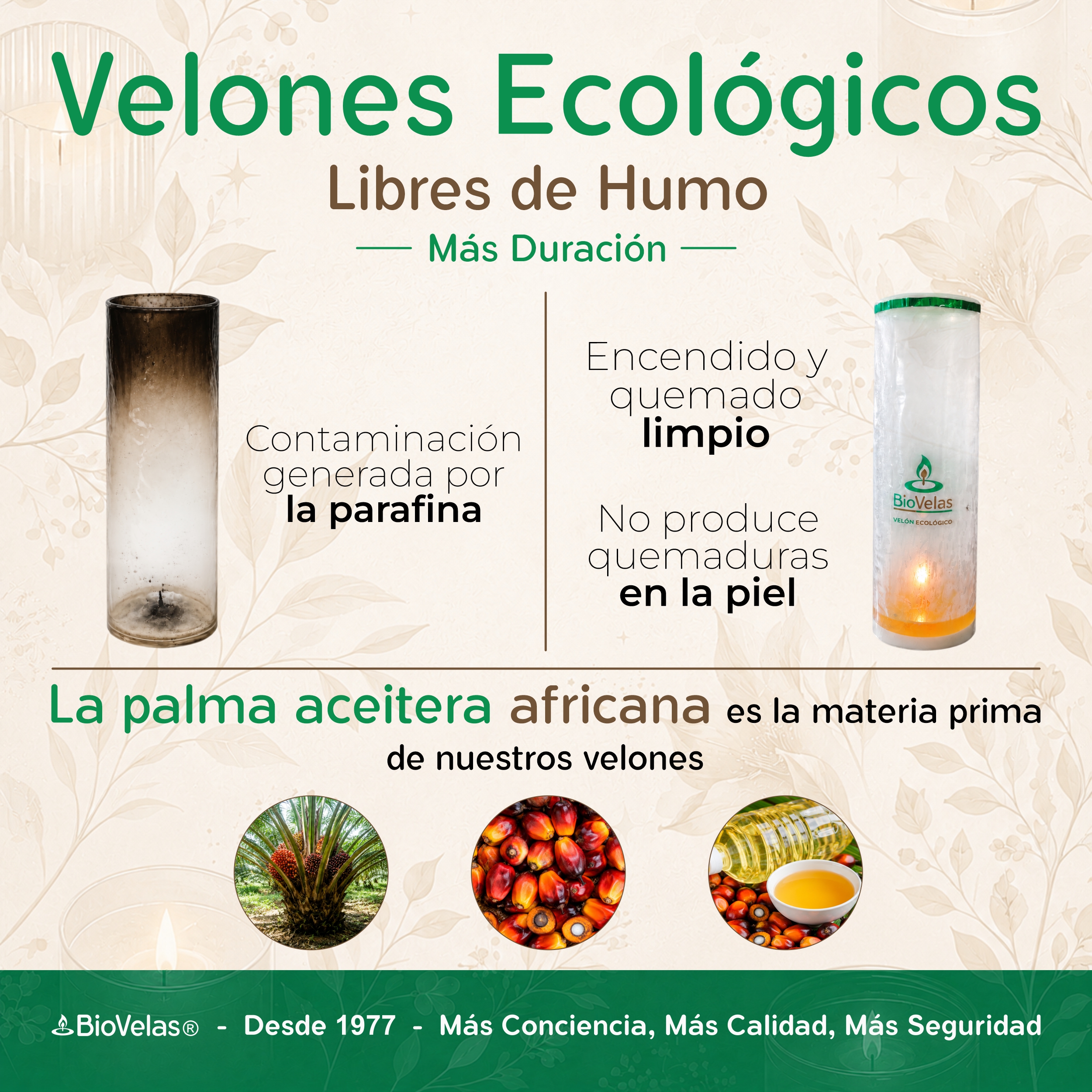 Información Velones Ecológicos